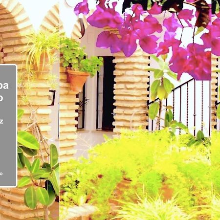 Centro Cordoba Apartaluz-8 Wifi Pk Dış mekan fotoğraf