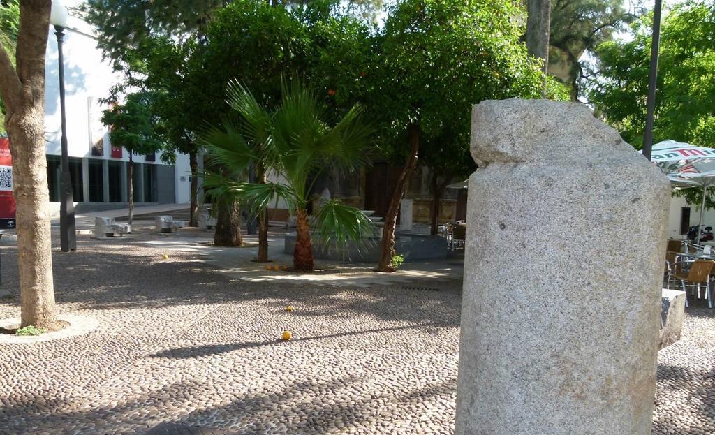 Centro Cordoba Apartaluz-8 Wifi Pk Dış mekan fotoğraf