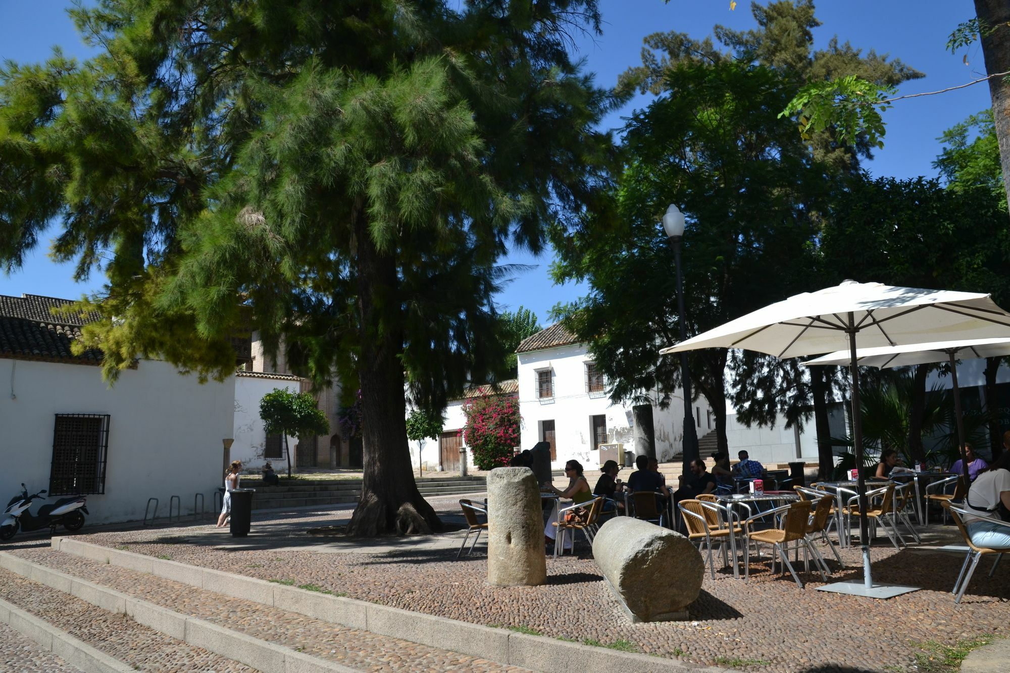 Centro Cordoba Apartaluz-8 Wifi Pk Dış mekan fotoğraf